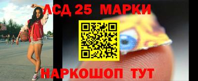 мдпв Новозыбков