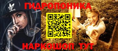 стаф Новодвинск