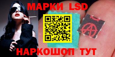 индика Новокубанск