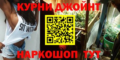 индика Новокубанск