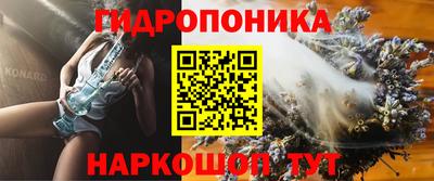 стаф Новодвинск