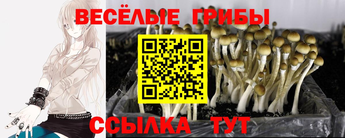 Галлюциногенные грибы мухоморы Орехово-Зуево